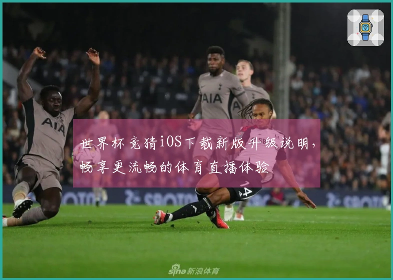 世界杯竞猜iOS下载新版升级说明，畅享更流畅的体育直播体验