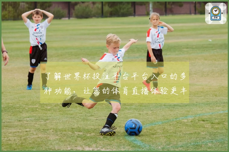 了解世界杯投注平台平台入口的多种功能，让您的体育直播体验更丰富