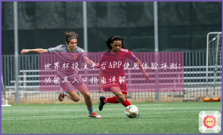 世界杯投注平台APP使用体验评测：功能及入口指南详解