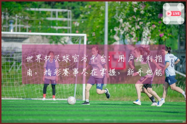 世界杯买球官方平台：用户福利指南，精彩赛事尽在掌握，新手也能轻松上手