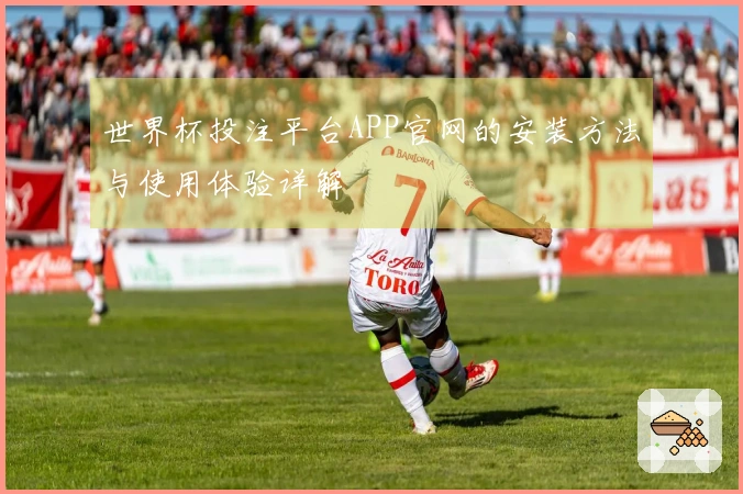 世界杯投注平台APP官网的安装方法与使用体验详解