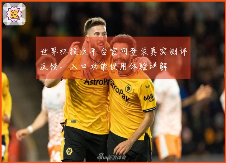 世界杯投注平台官网登录真实测评反馈，入口功能使用体验详解