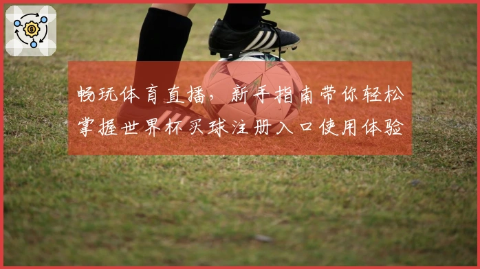 畅玩体育直播，新手指南带你轻松掌握世界杯买球注册入口使用体验
