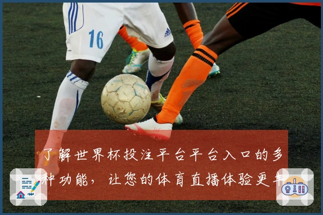 了解世界杯投注平台平台入口的多种功能，让您的体育直播体验更丰富