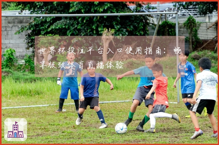 世界杯投注平台入口使用指南：畅享极致体育直播体验