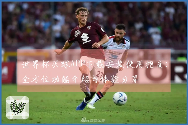 世界杯买球APP下载安装使用指南：全方位功能介绍与体验分享