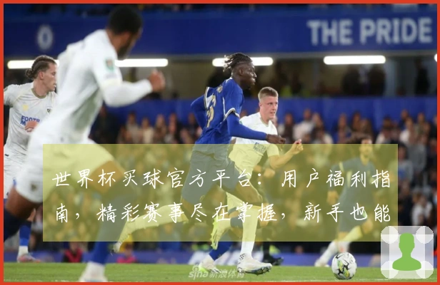 世界杯买球官方平台：用户福利指南，精彩赛事尽在掌握，新手也能轻松上手