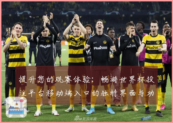 提升您的观赛体验：畅游世界杯投注平台移动端入口的独特界面与功能介绍