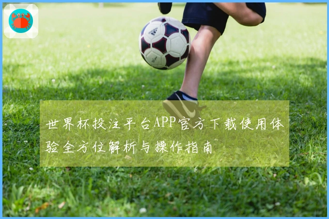 世界杯投注平台APP官方下载使用体验全方位解析与操作指南