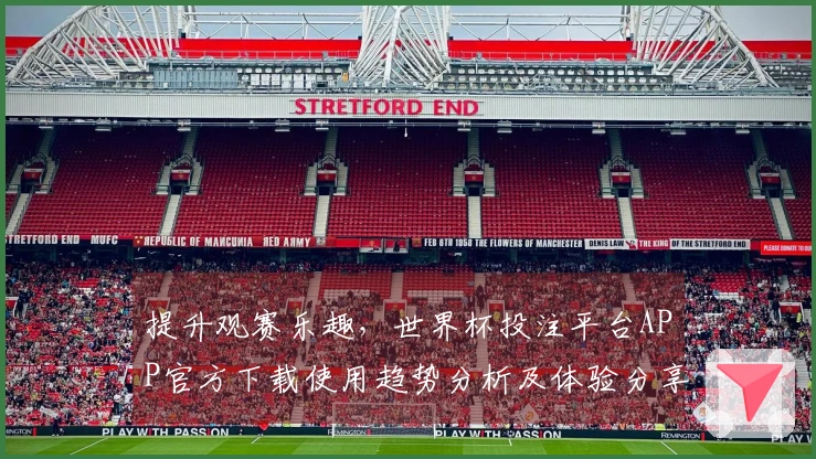 提升观赛乐趣，世界杯投注平台APP官方下载使用趋势分析及体验分享