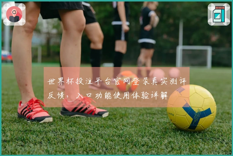 世界杯投注平台官网登录真实测评反馈，入口功能使用体验详解