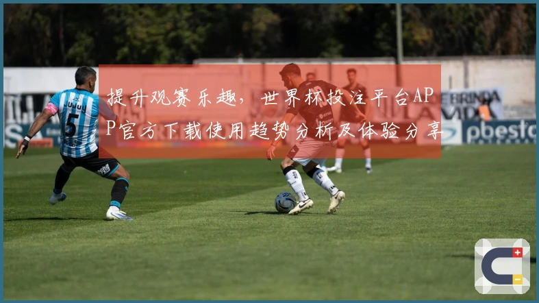 提升观赛乐趣，世界杯投注平台APP官方下载使用趋势分析及体验分享
